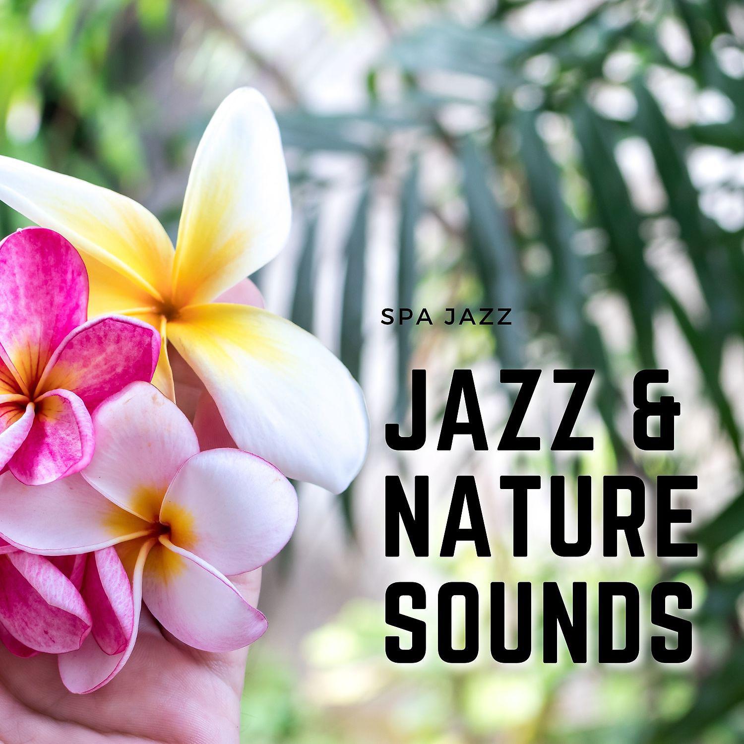 Постер альбома Jazz & Nature Sounds