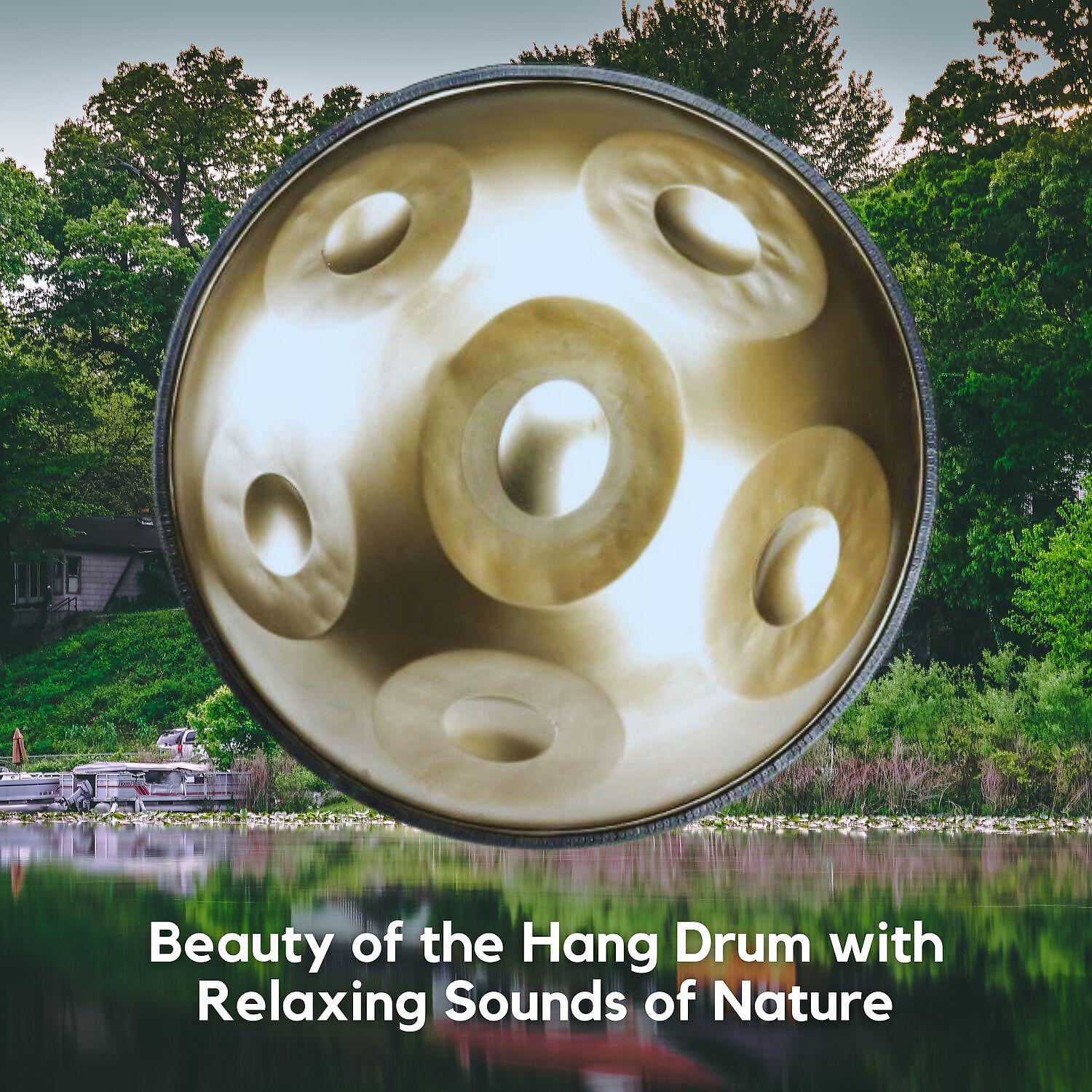 Hang Drum - Drishti (with Nature Sounds and Chill Drums)