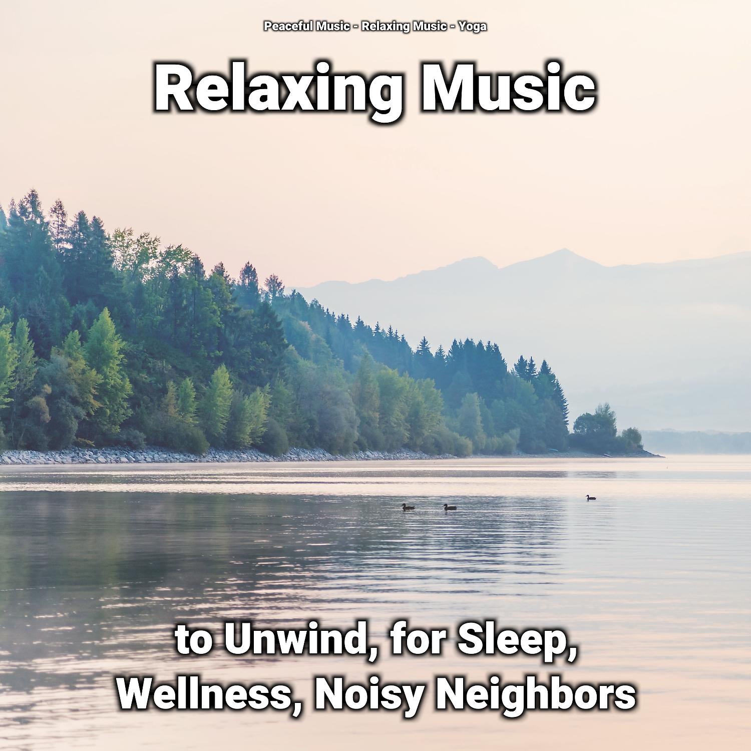 Постер альбома Relaxing Music to Unwind, for Sleep, Wellness, Noisy Neighbors