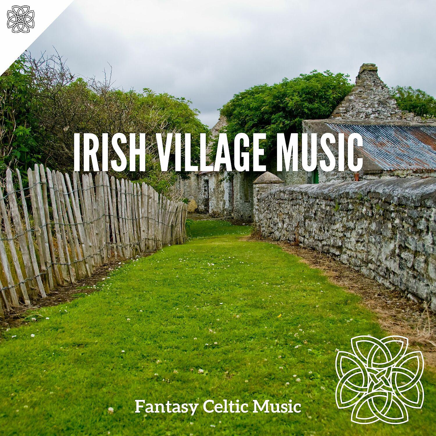 Постер альбома Irish Village Music