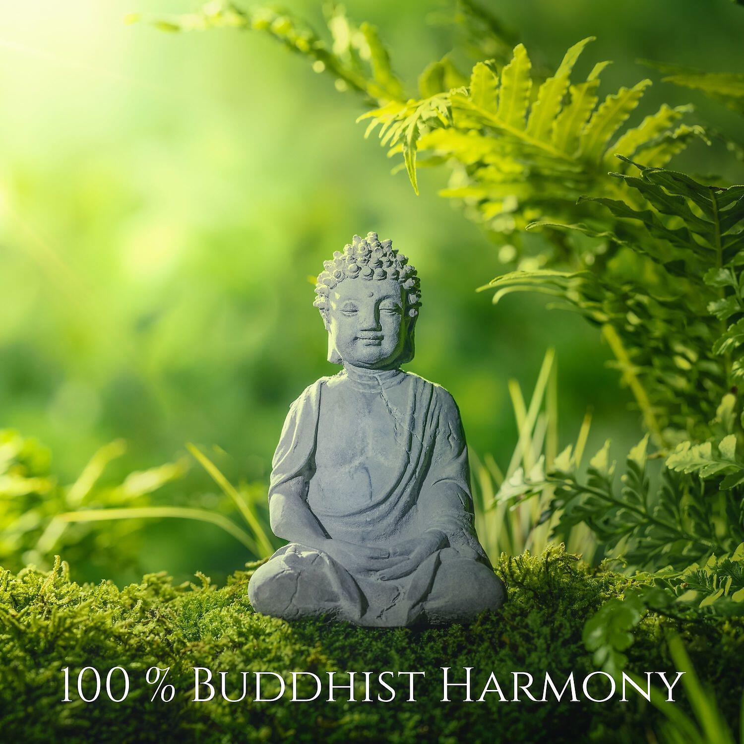 Buddhist Meditation Music Set - Vibrational Energy