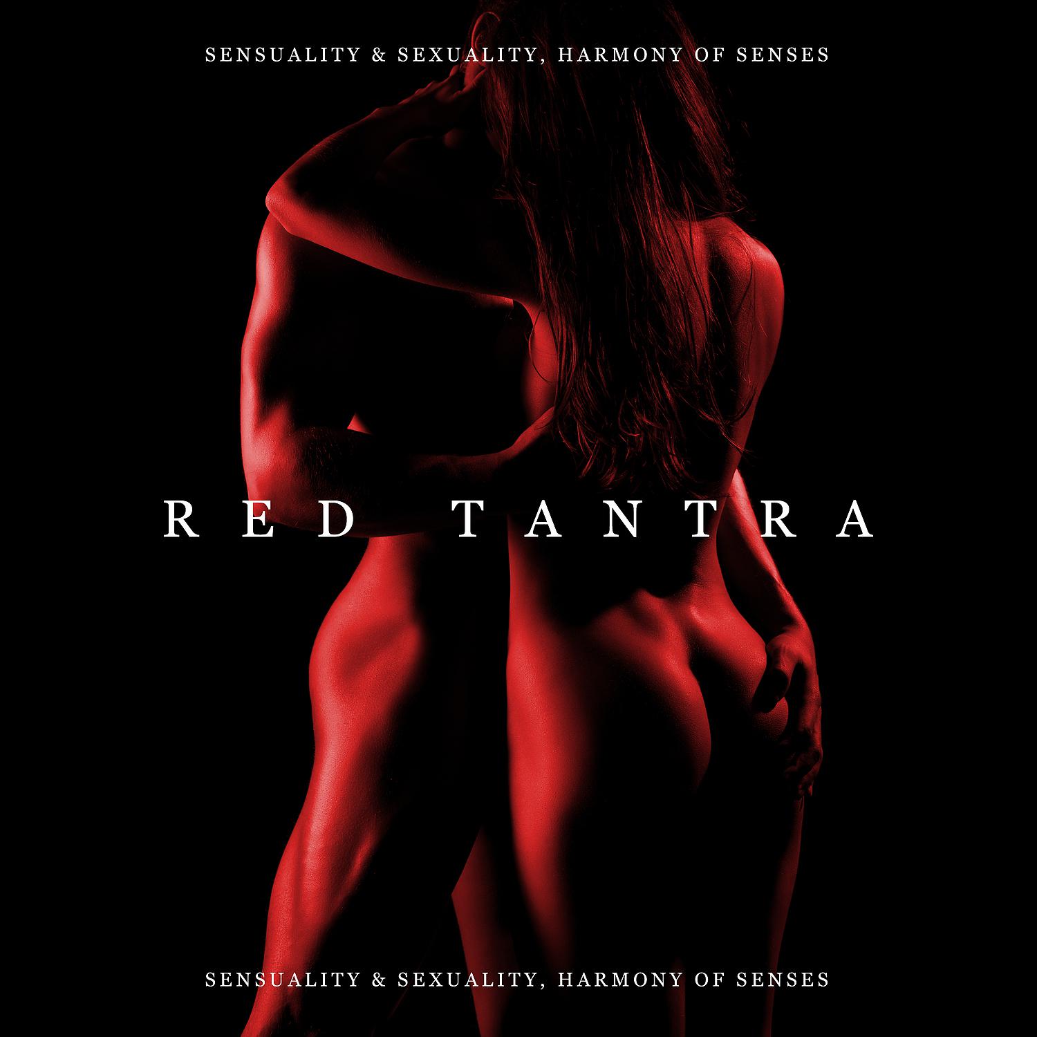 Постер альбома Red Tantra: Sensuality & Sexuality, Harmony of Senses