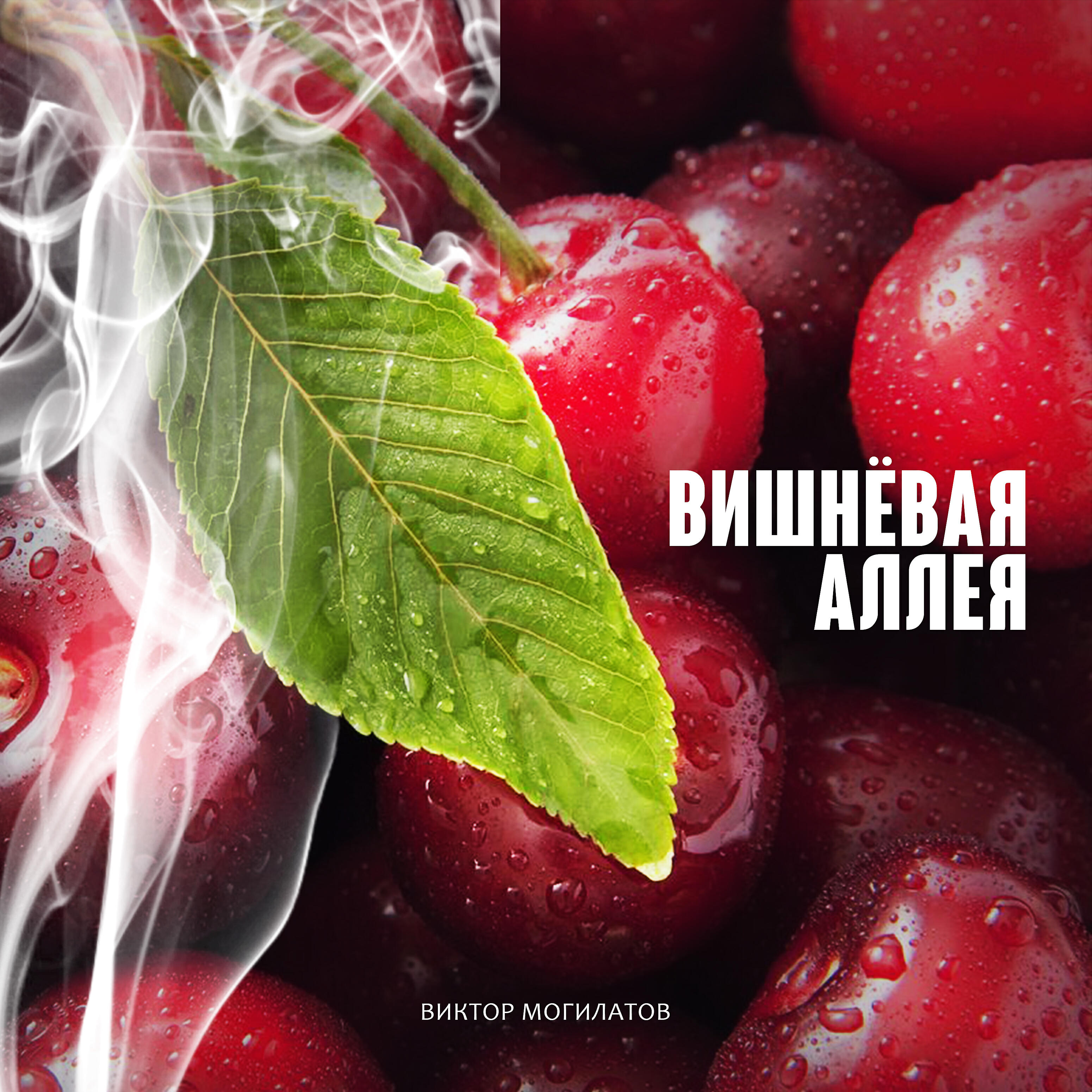 Виктор Могилатов - Вишнёвая аллея
