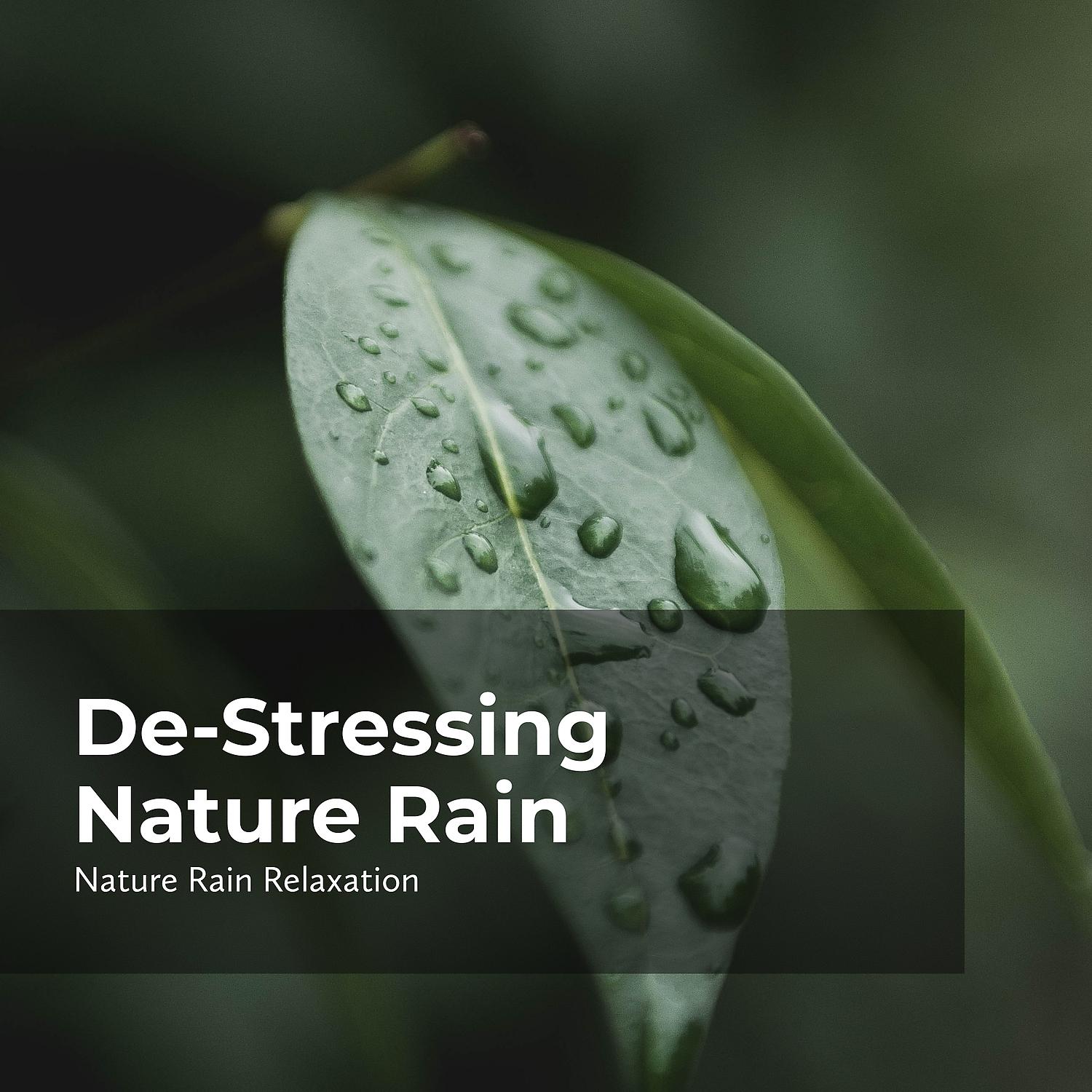 Постер альбома De-Stressing Nature Rain