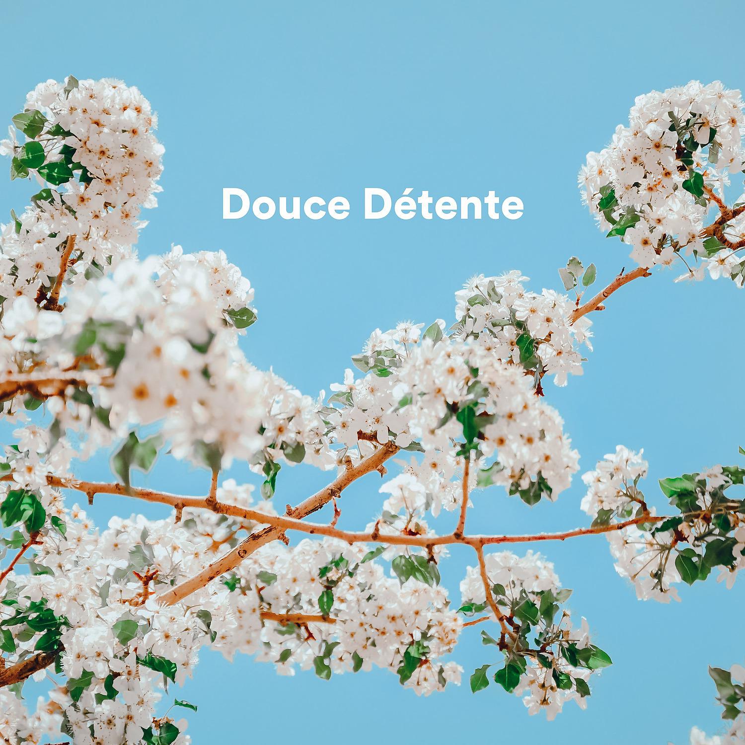 Постер альбома Douce détente