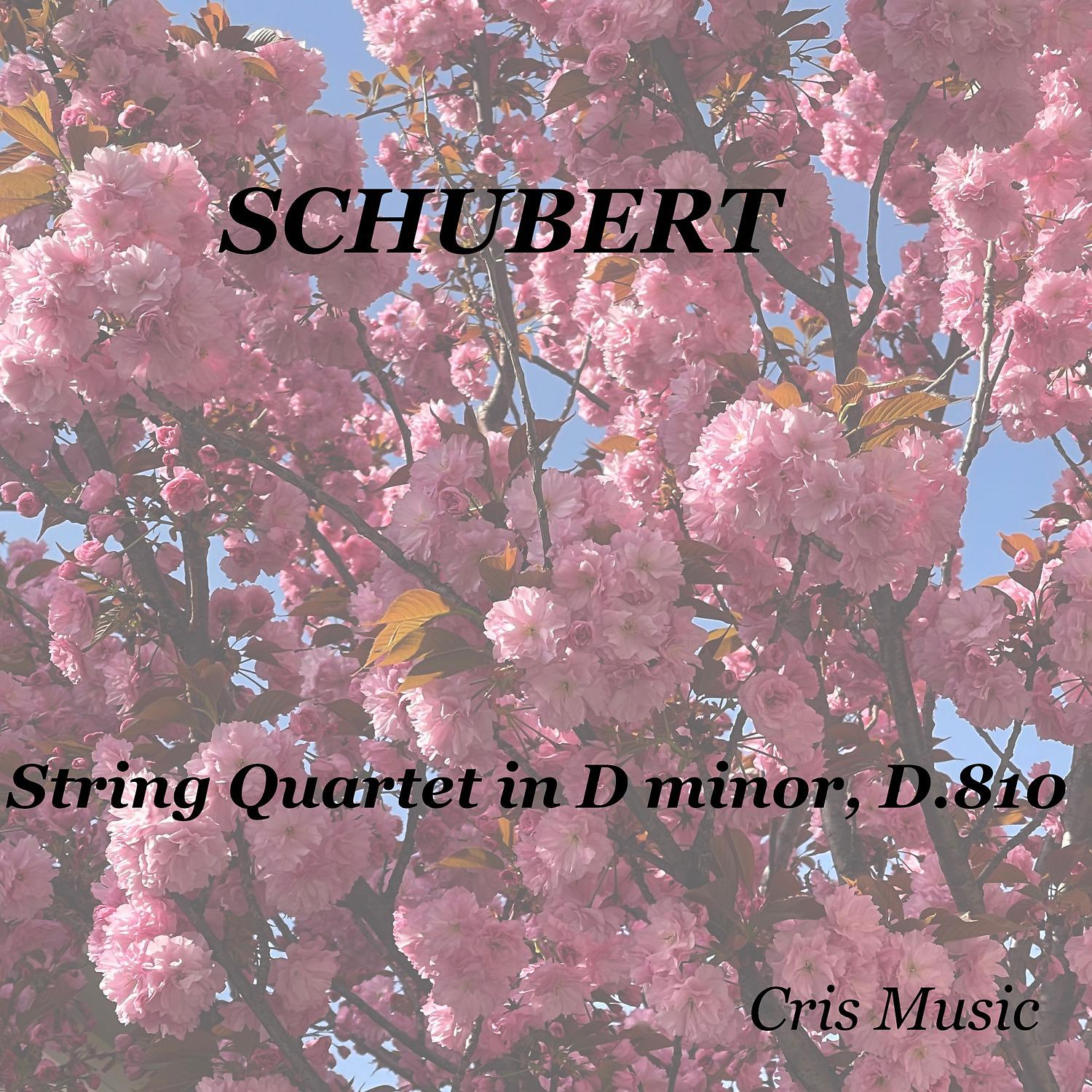 Постер альбома Schubert: String Quartet in D Minor, D.810