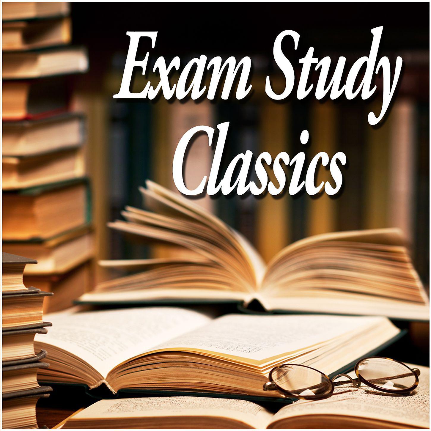 Постер альбома Exam Study Classics - Revise to Classical Music