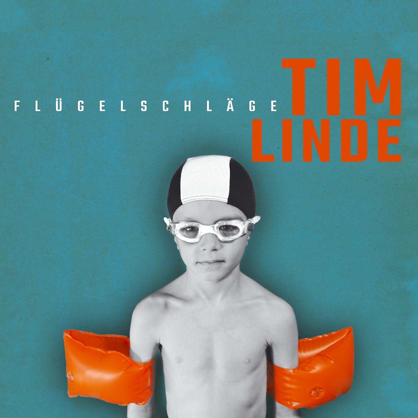 Постер альбома Flügelschläge