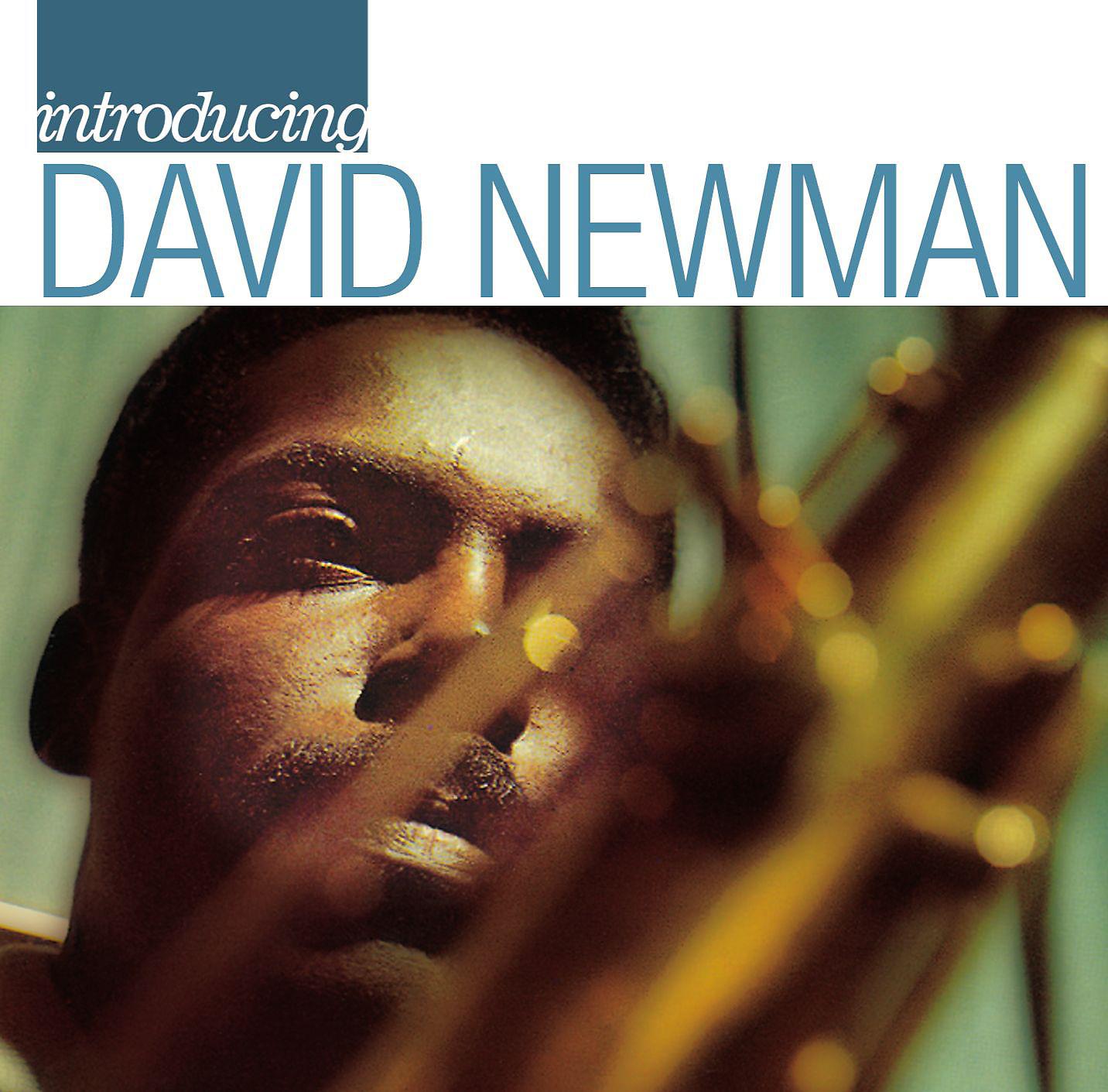 Постер альбома Introducing David Newman