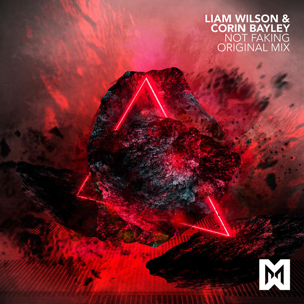 Liam Wilson - Not Faking (Extended Mix)