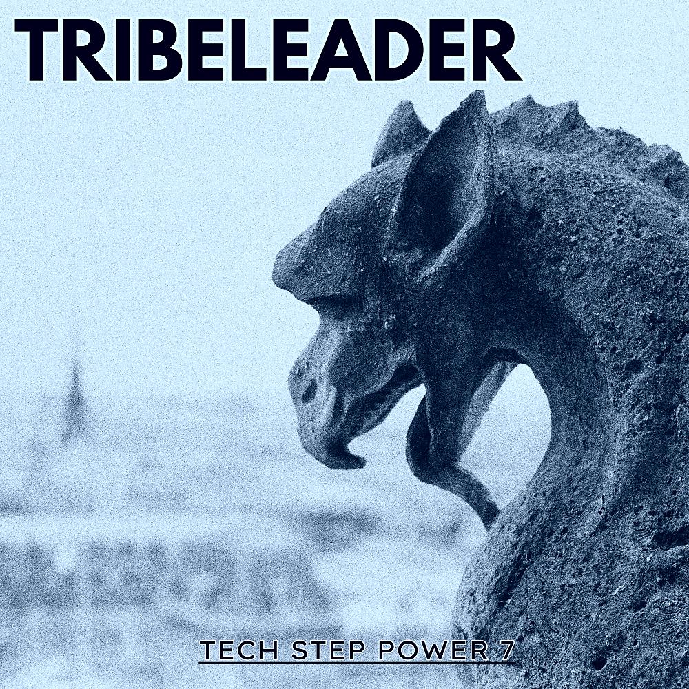 Постер альбома Tech Step Power 7 Deluxe Version