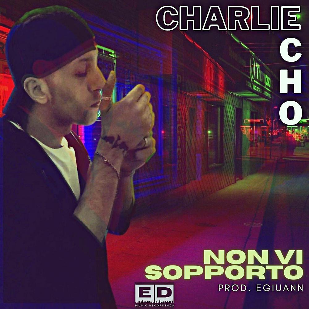 Постер альбома Non Vi Sopporto