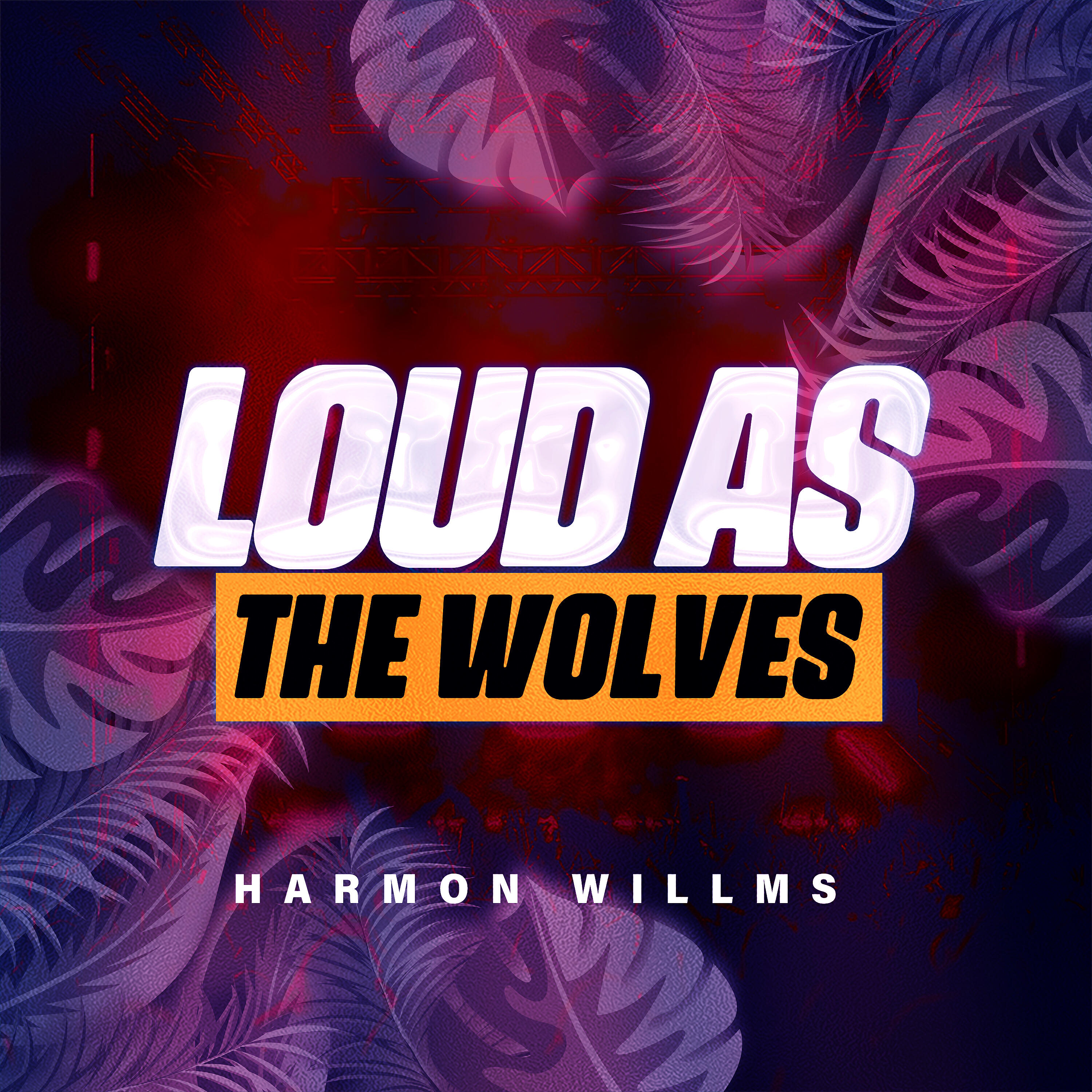 Harmon Willms - You Can't Look Up When You're Look'n Down