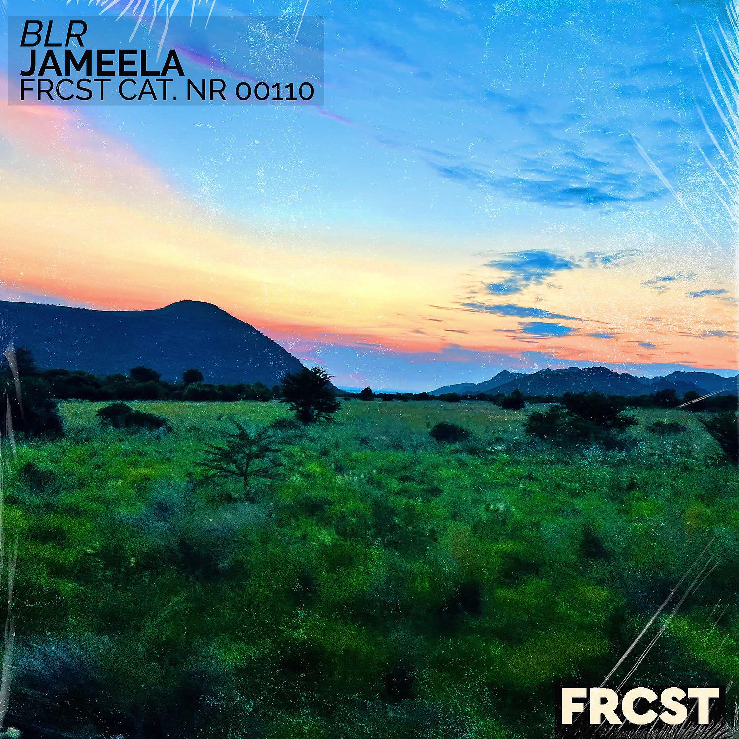 Постер альбома Jameela