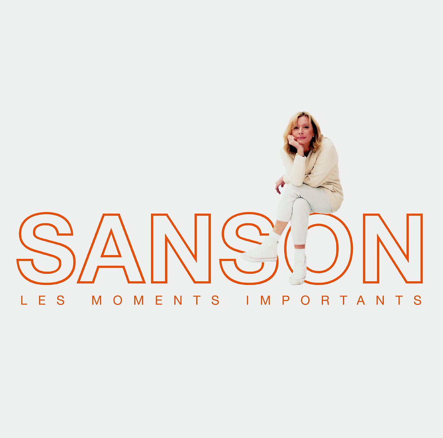 Постер альбома Les moments importants - Best of Véronique Sanson