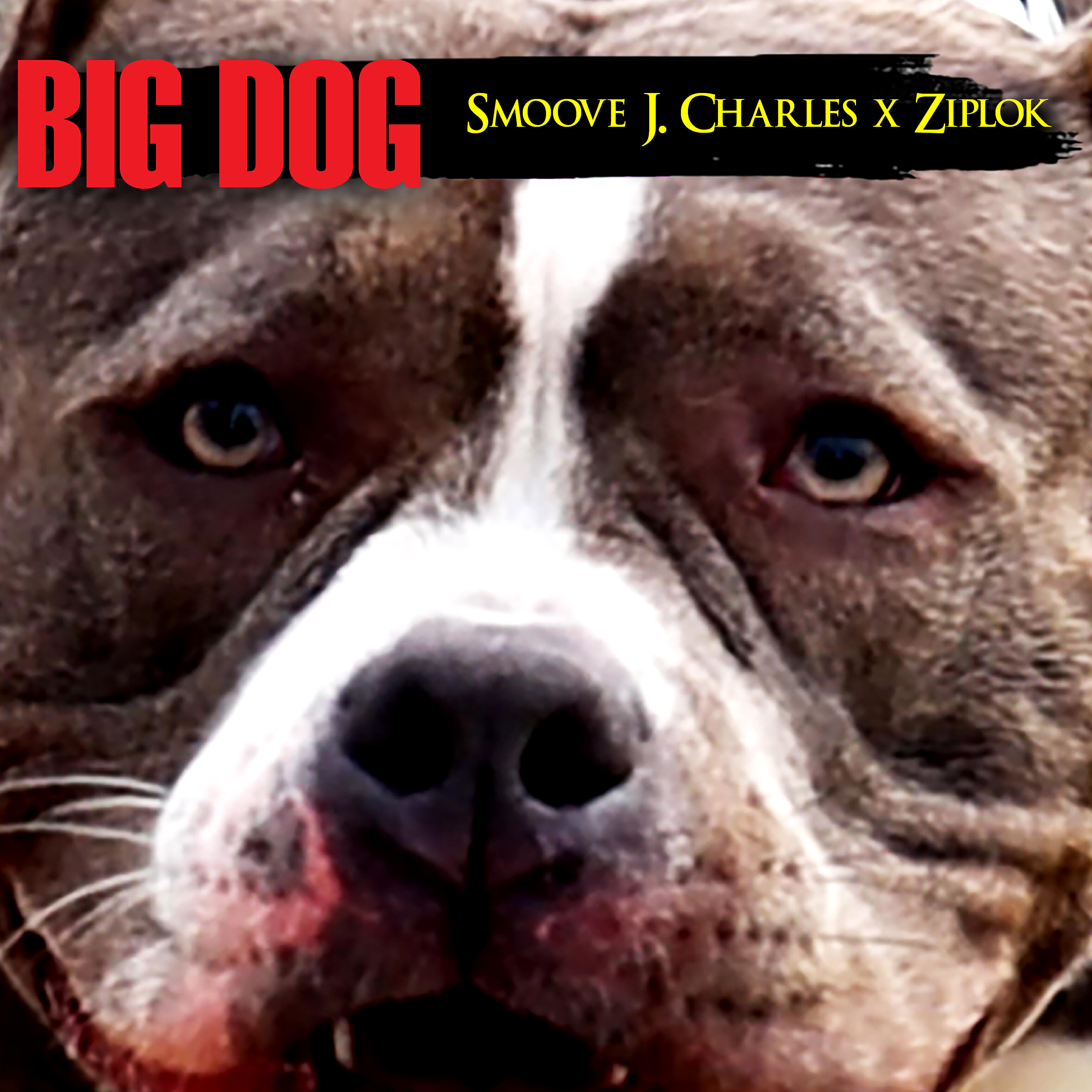 Smoove J. Charles - Big Dog (feat. Ziplok)