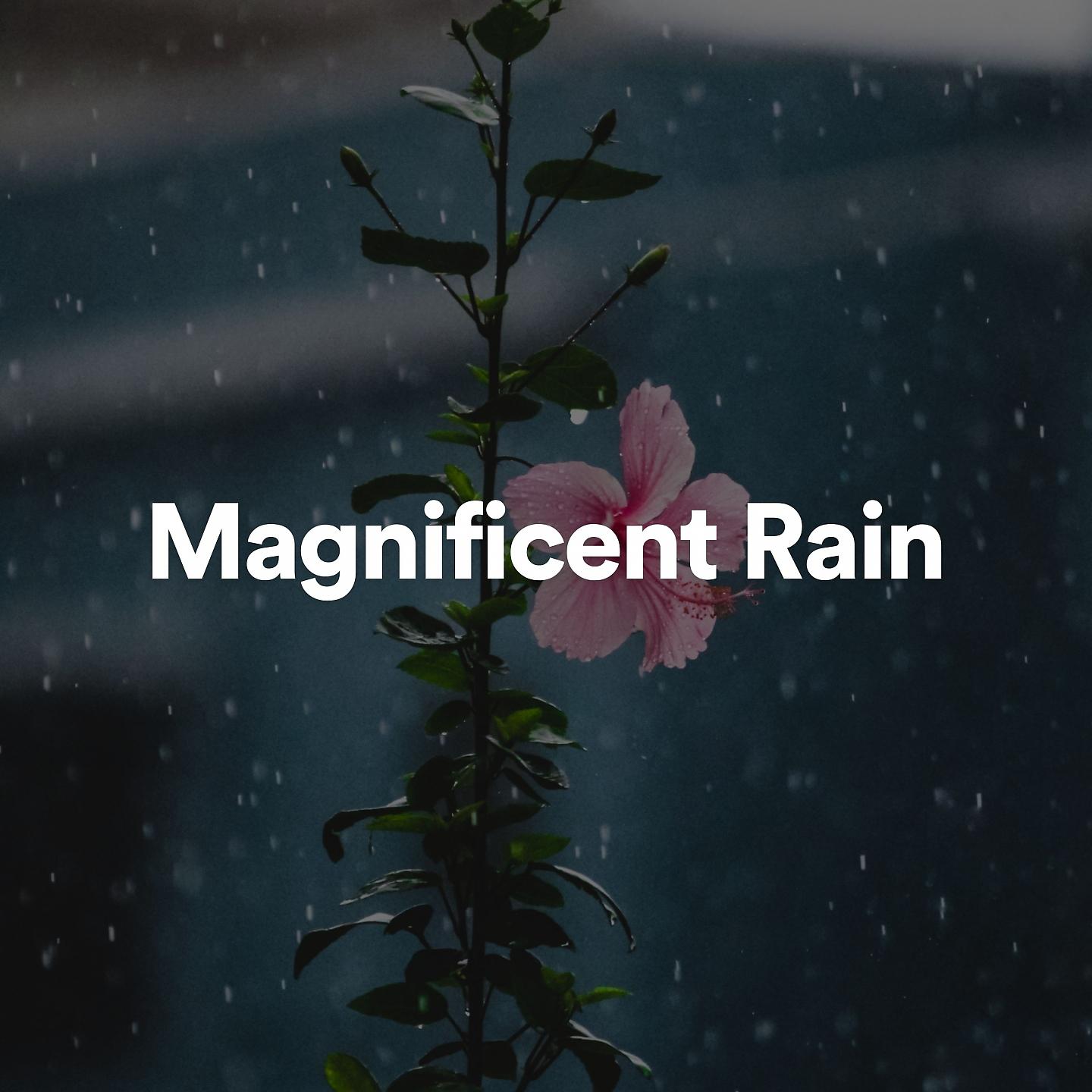 Постер альбома Magnificent Rain