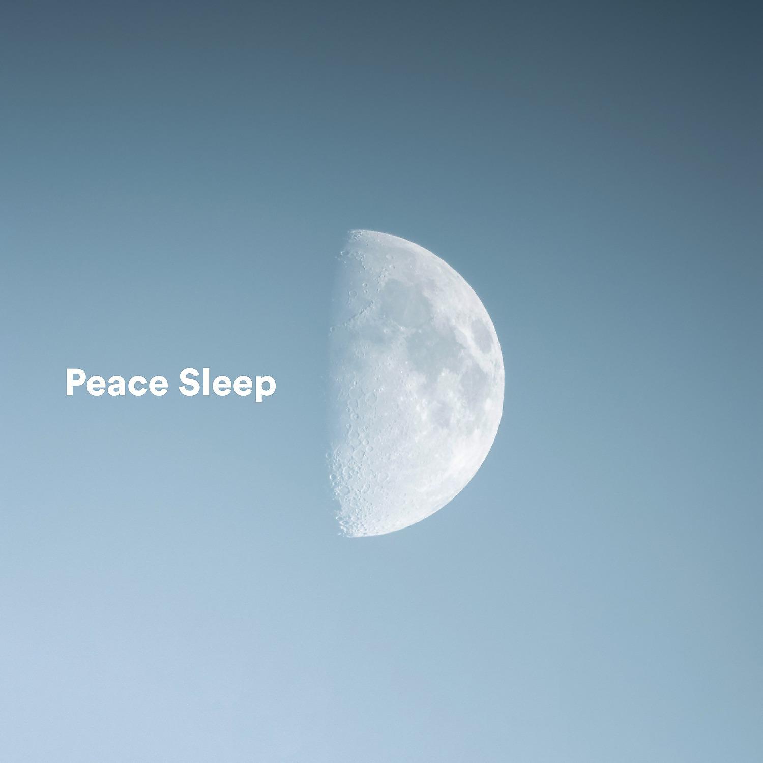 Постер альбома Peace Sleep