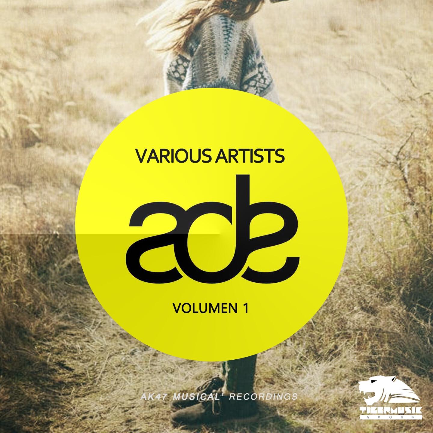 Постер альбома Ade 2014, Vol. 1