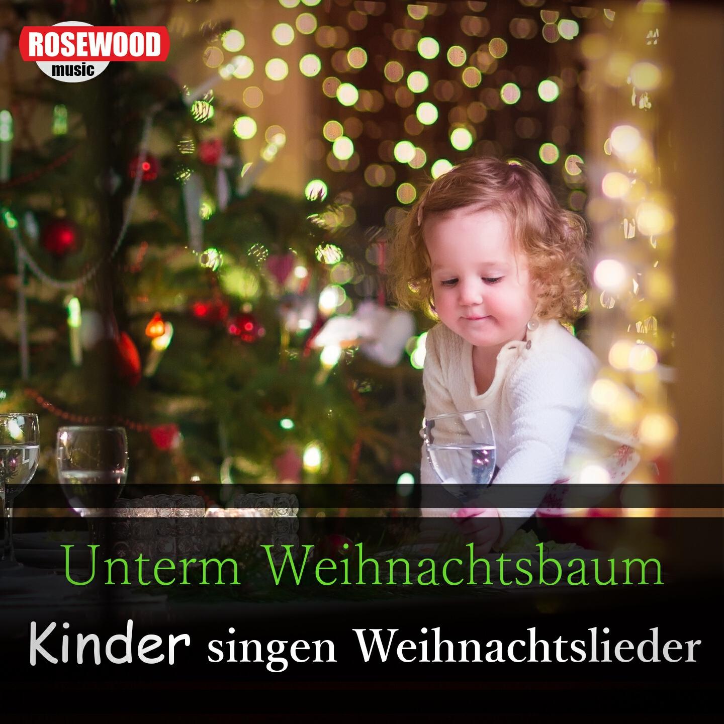 Kiddy Cats - Dann ist Zeit für Jingle Bells