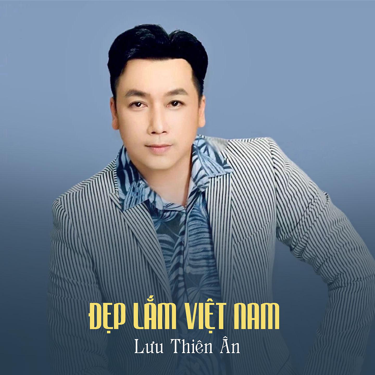Постер альбома Đẹp Lắm Việt Nam