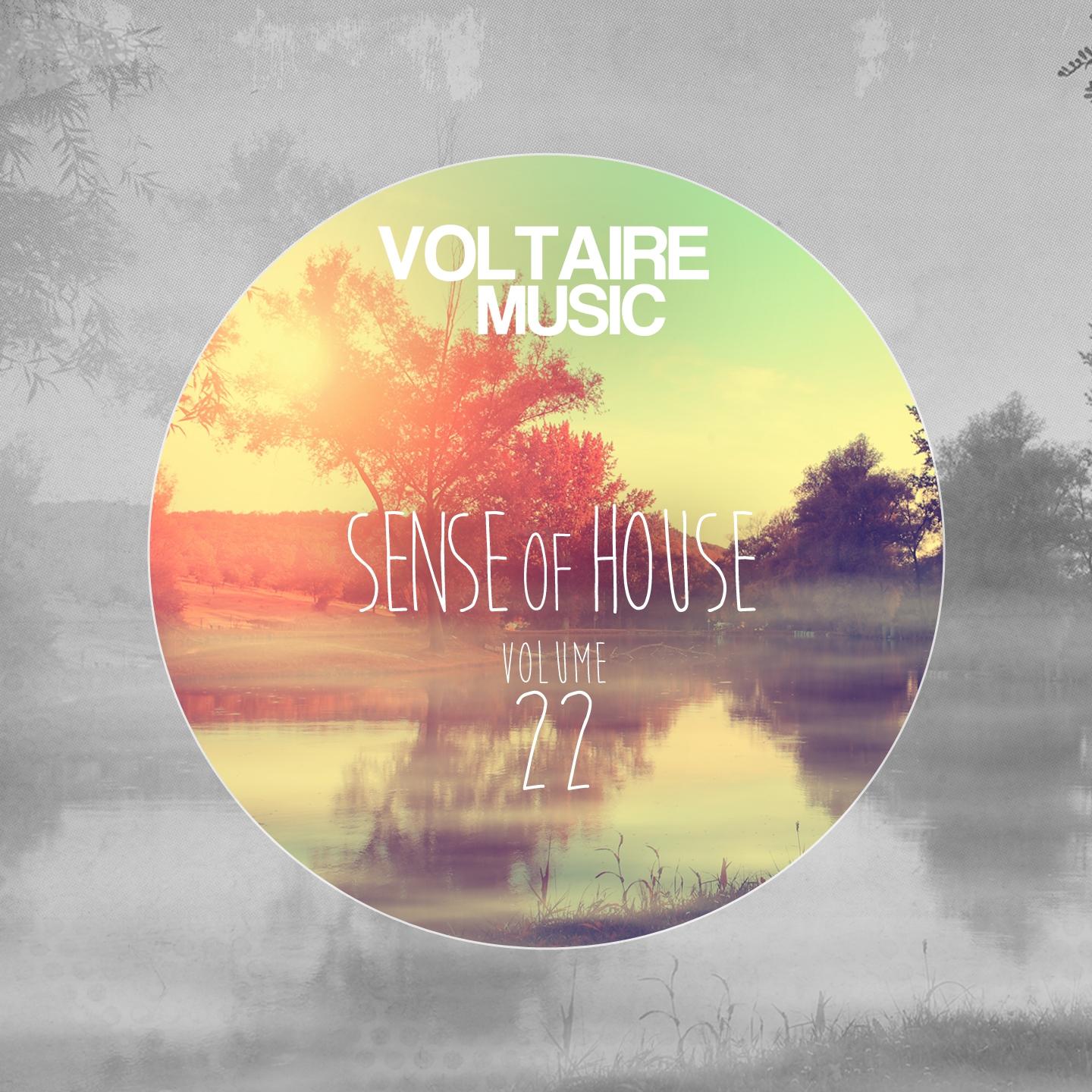 Постер альбома Sense of House, Vol. 22