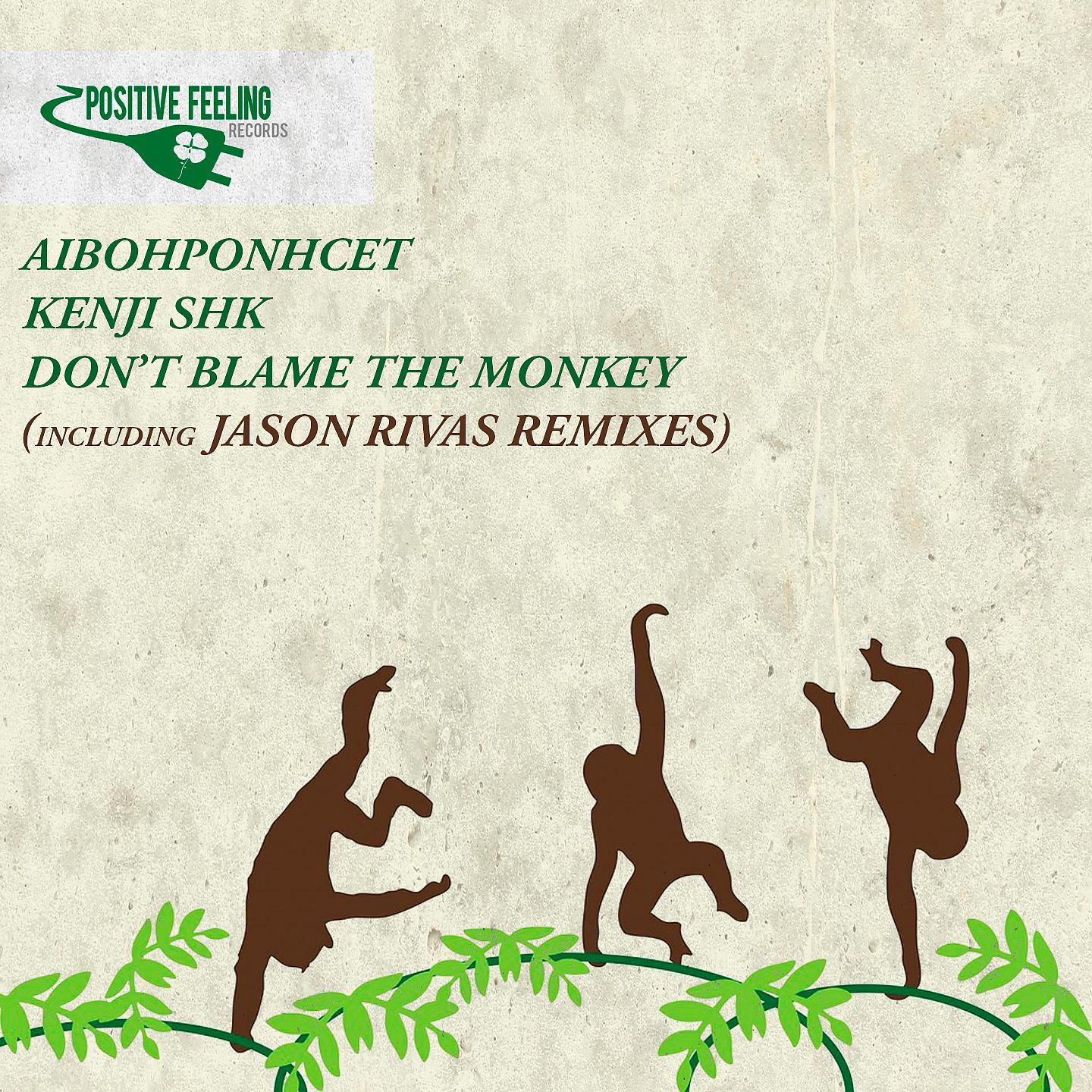 Постер альбома Don't Blame the Monkey