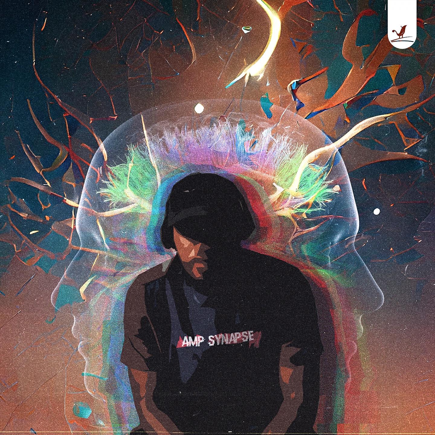 Don Kody - Amp Synapse