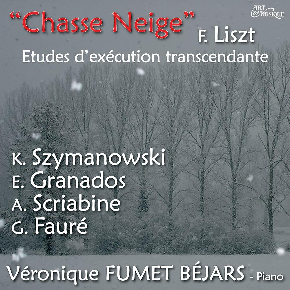 Постер альбома F. Liszt "Chasse neige" - Etudes d'exécution transcendante