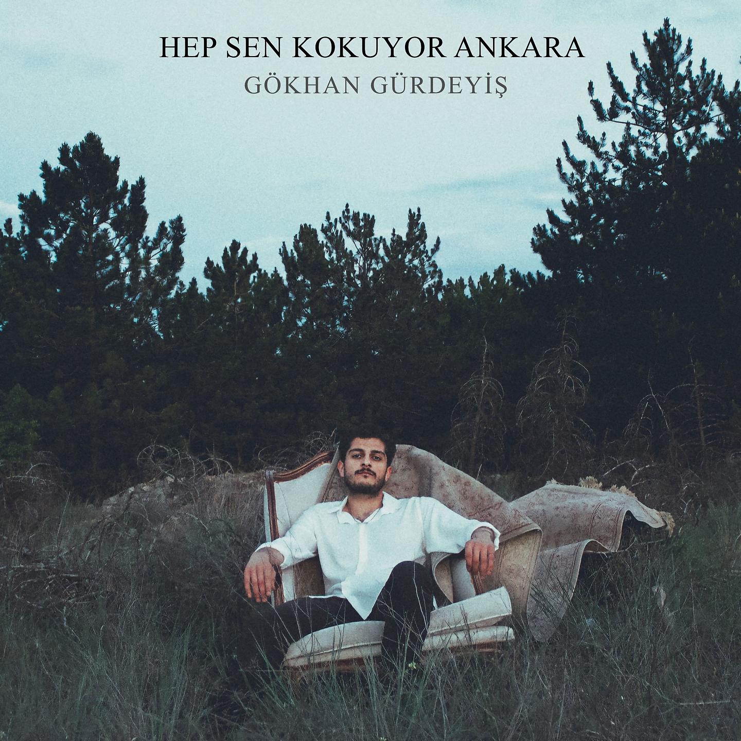 Постер альбома Hep Sen Kokuyor Ankara