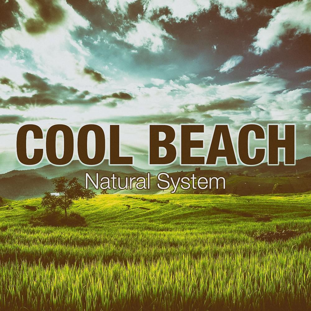 Постер альбома Natural System