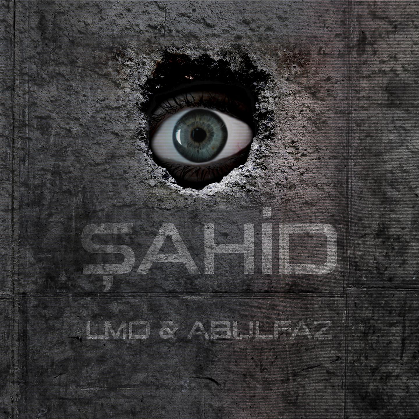 Постер альбома Şahid