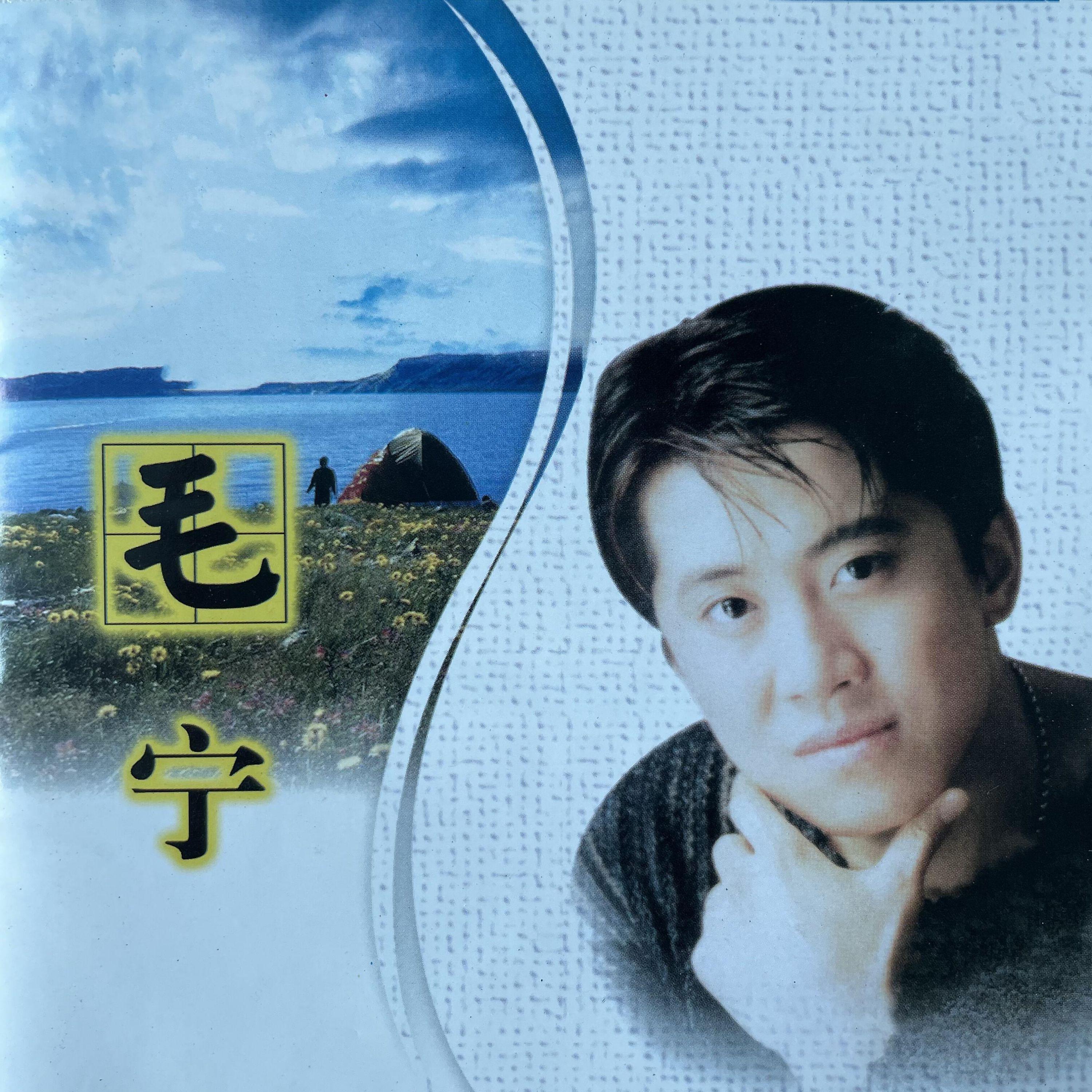 Постер альбома 毛宁