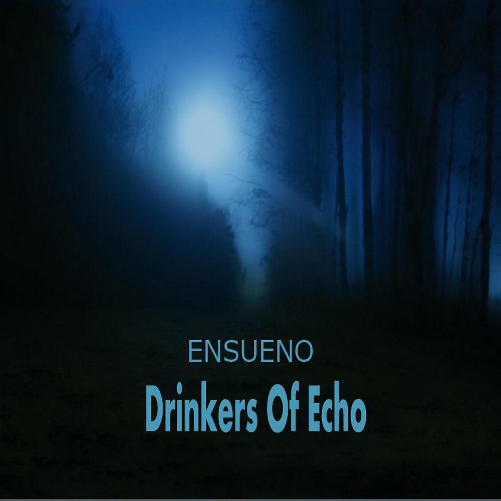 Постер альбома Drinkers Of Echo