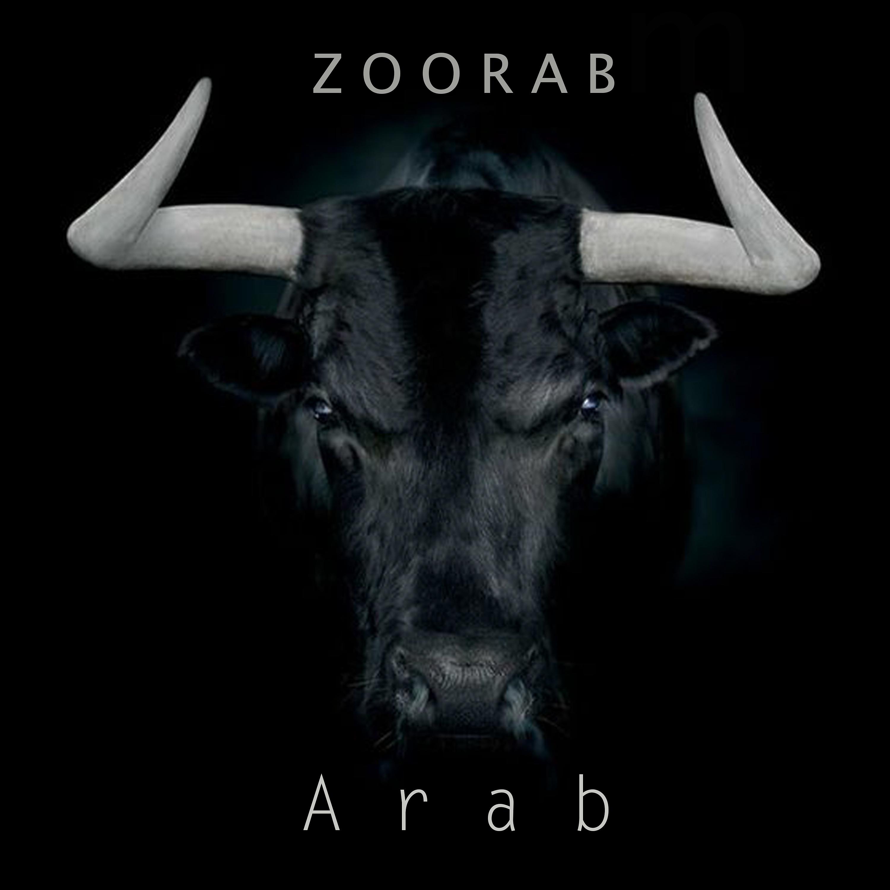 Постер альбома Arab
