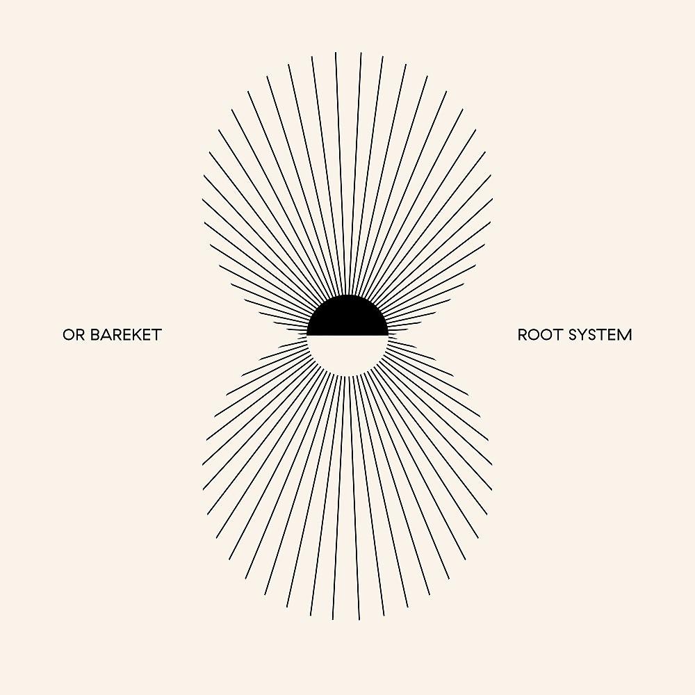 Постер альбома Root System