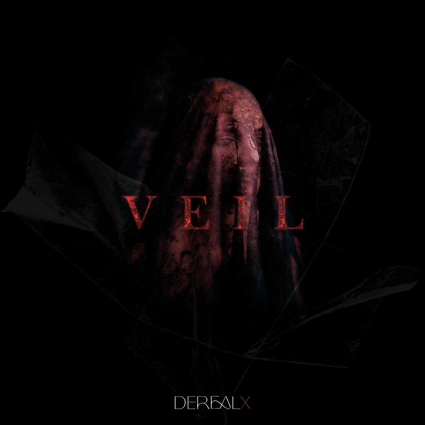 Постер альбома Veil