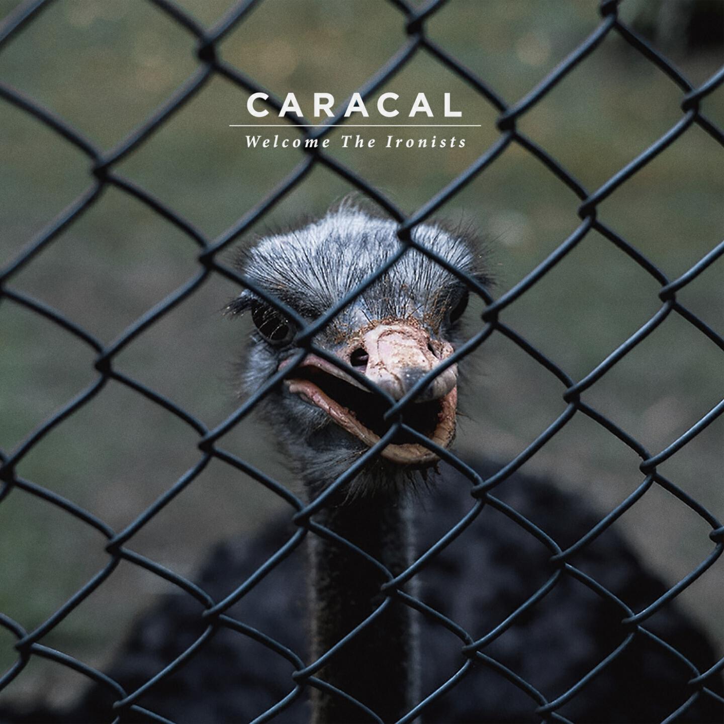 Caracal - Betwixt and Between