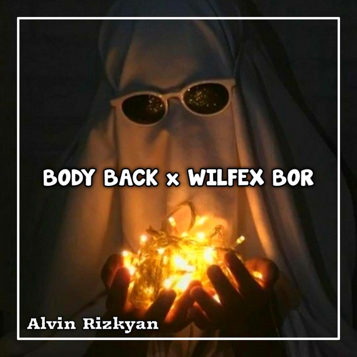 Постер альбома Body Back / Wilfex Bor