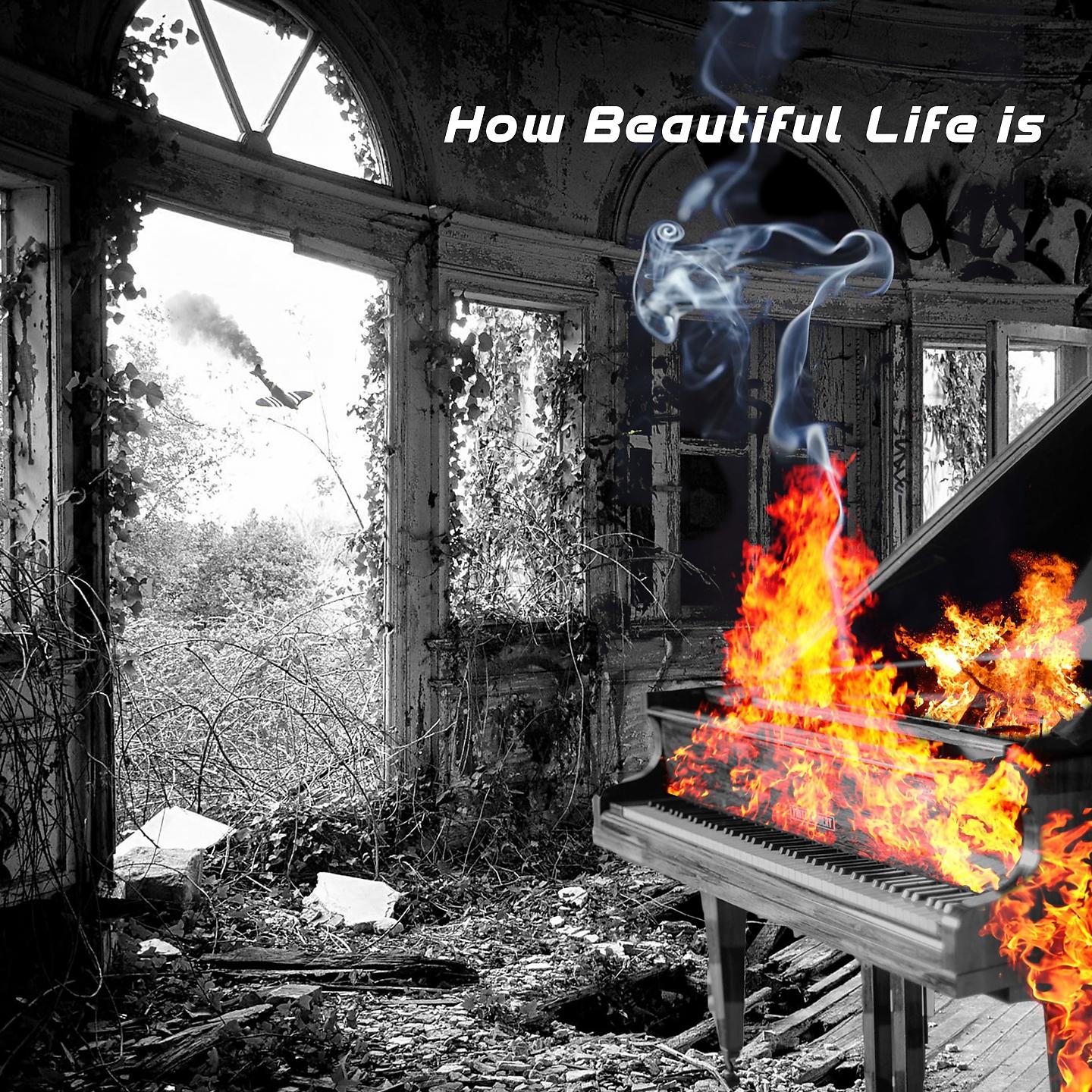 Постер альбома How Beautiful Life Is
