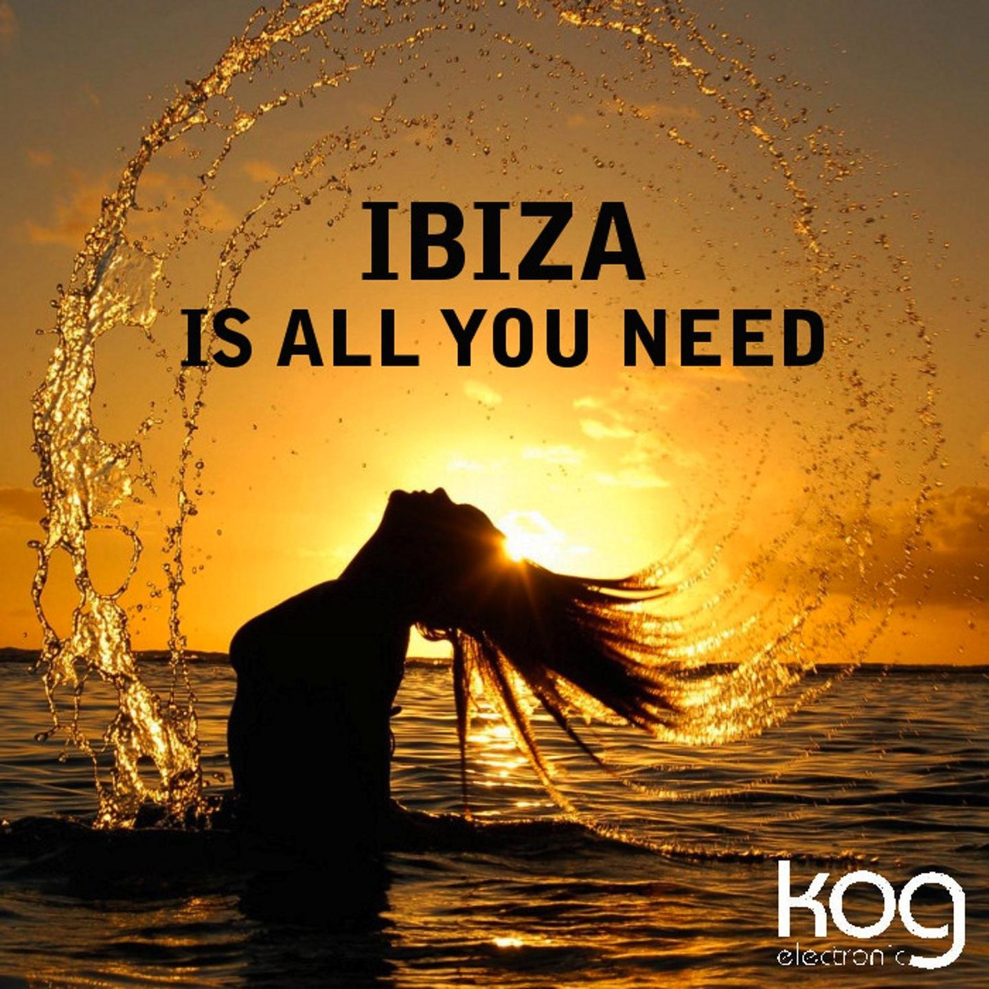 Постер альбома Ibiza Is All You Need