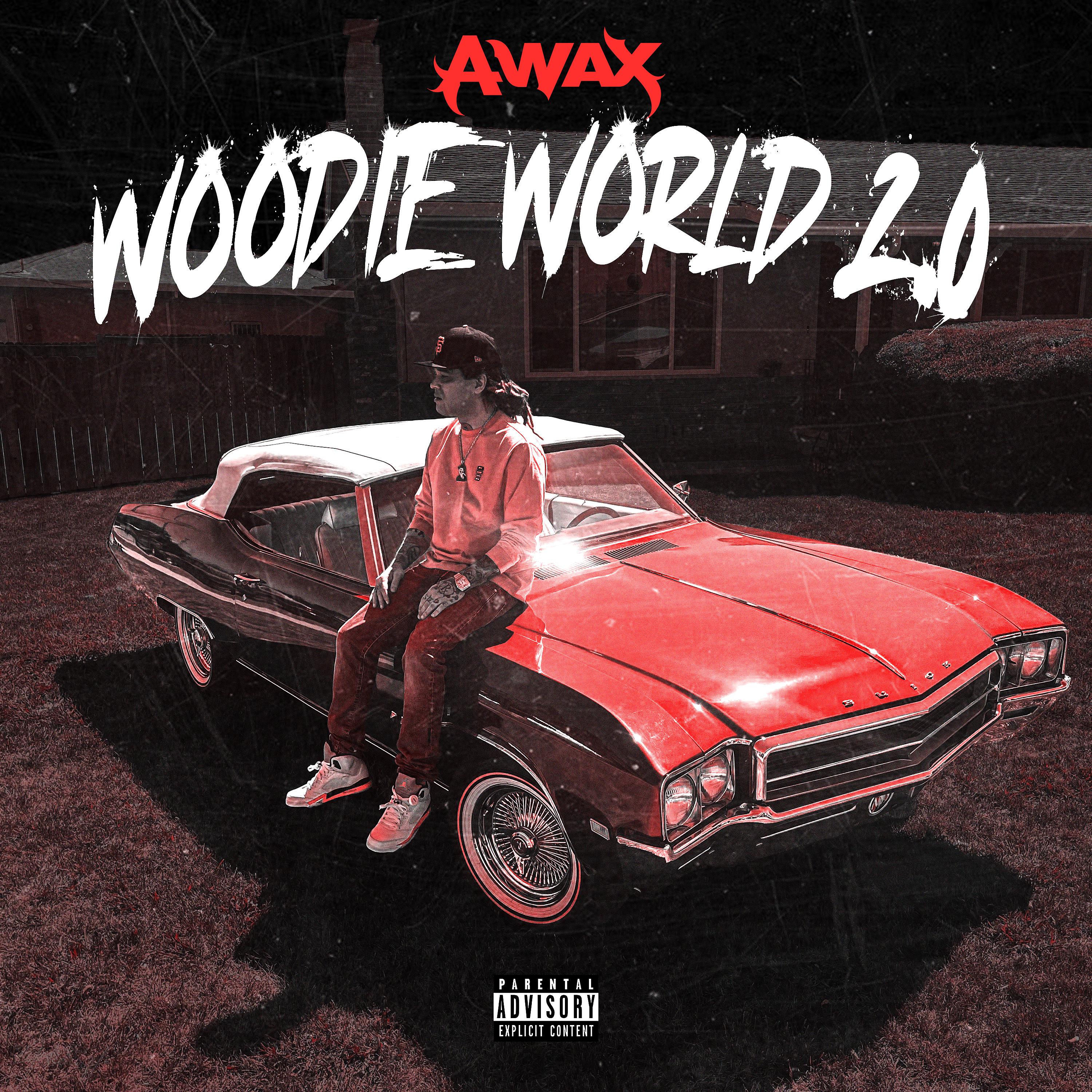 Постер альбома Woodie World 2.0