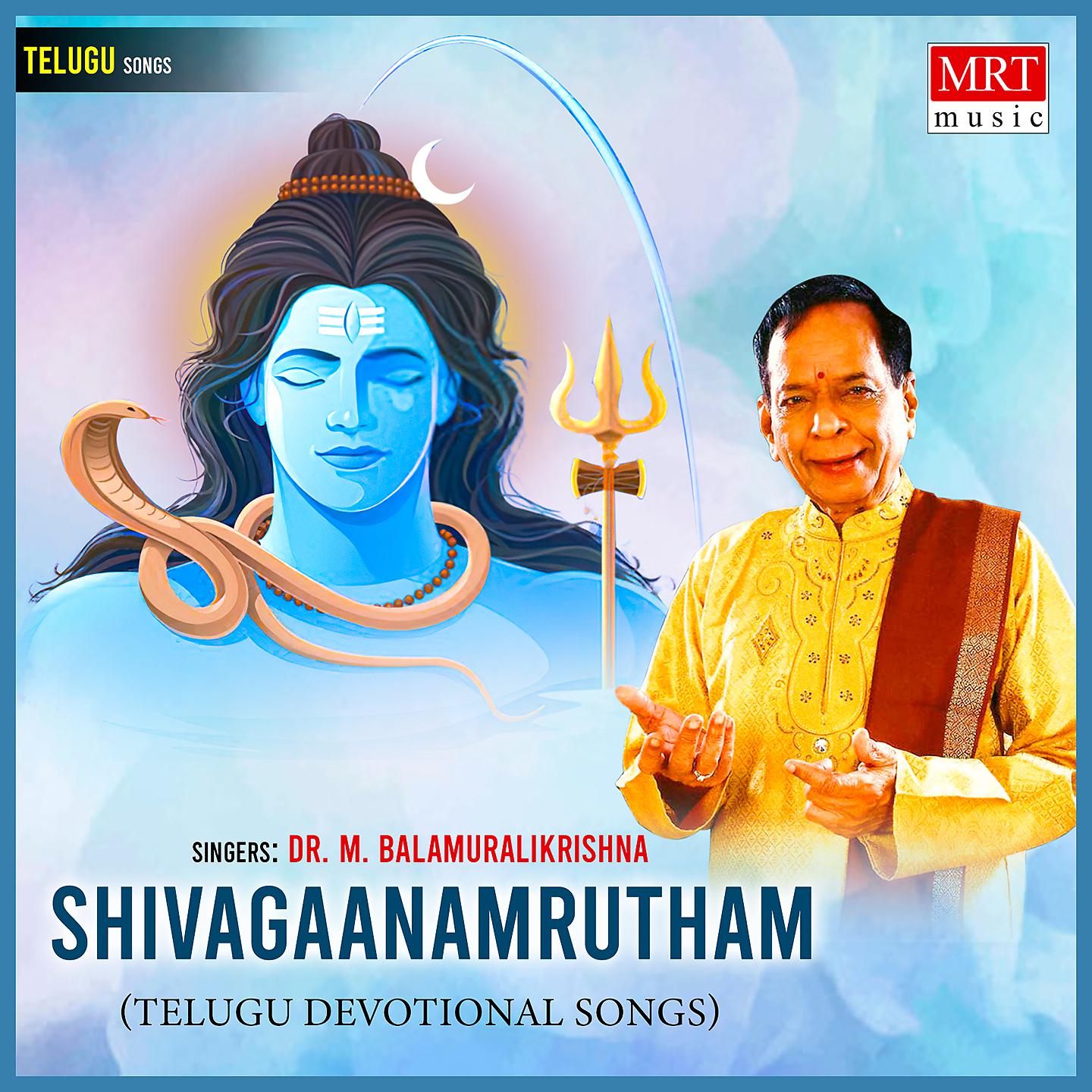 Постер альбома Shivagaanamrutham