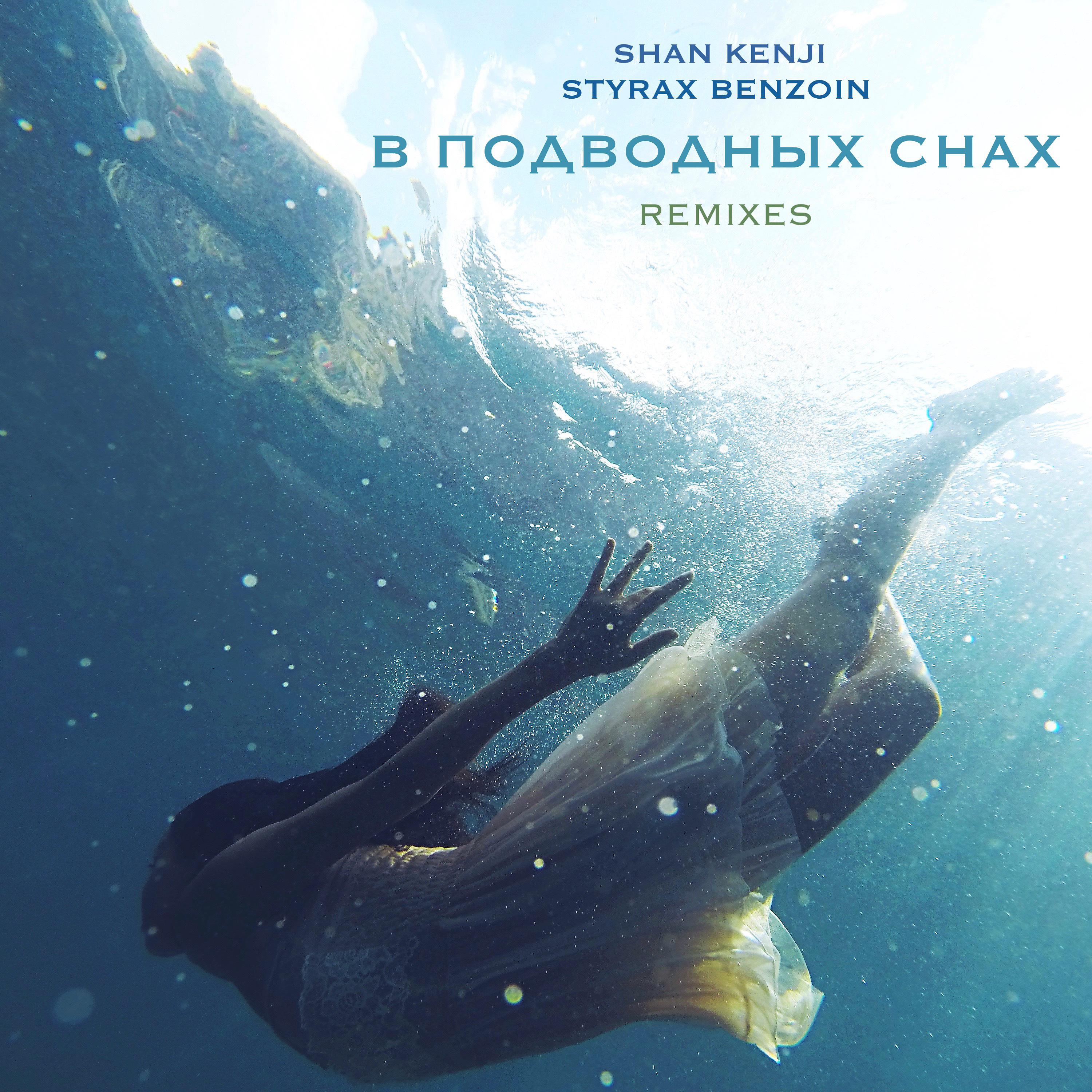 Постер альбома В подводных снах (Remixes)