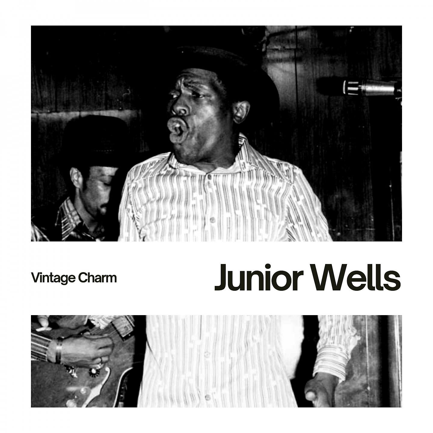 Постер альбома Junior Wells