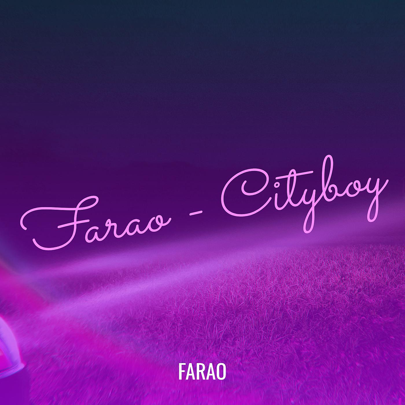 Постер альбома Farao - Cityboy