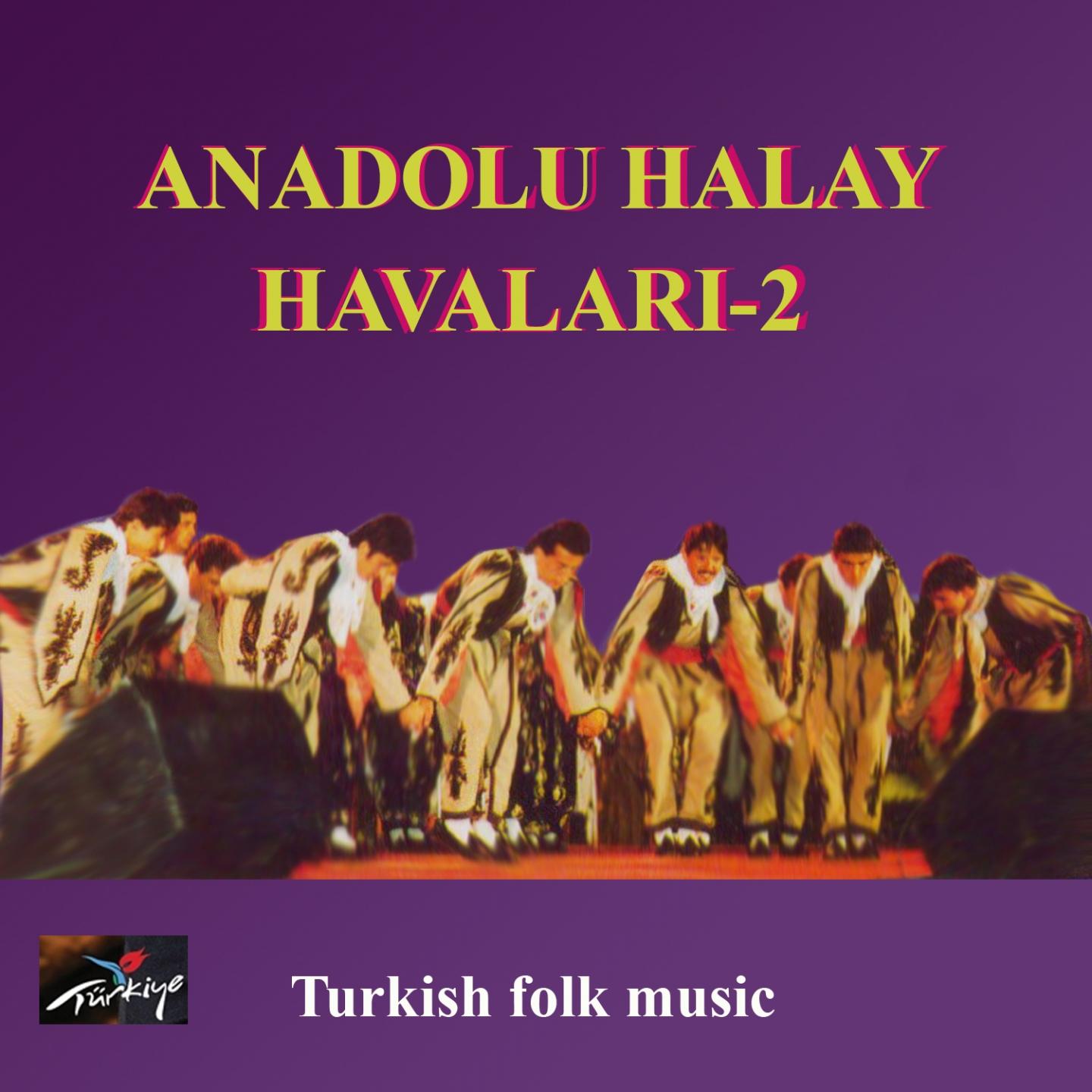 Постер альбома Anadolu Halay Havaları, Vol. 2