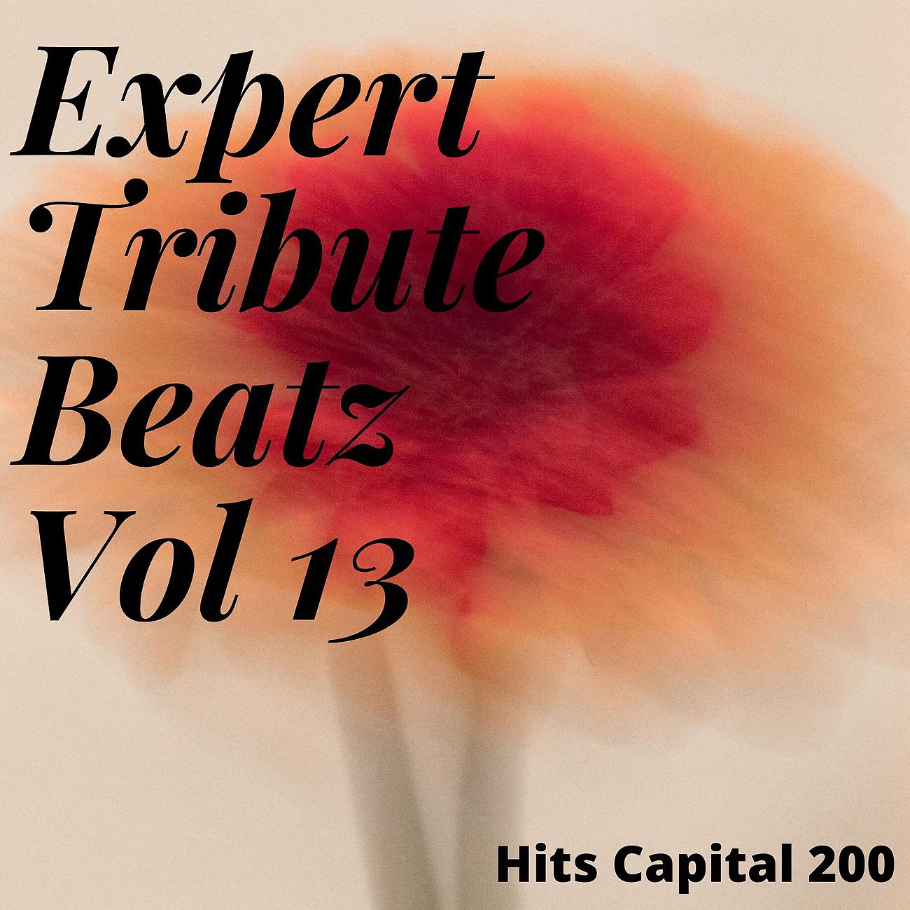 Постер альбома Expert Tribute Beatz Vol 13