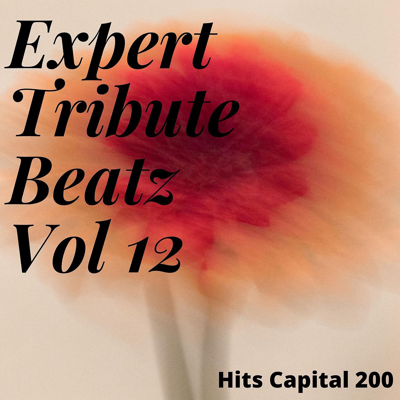 Постер альбома Expert Tribute Beatz Vol 12