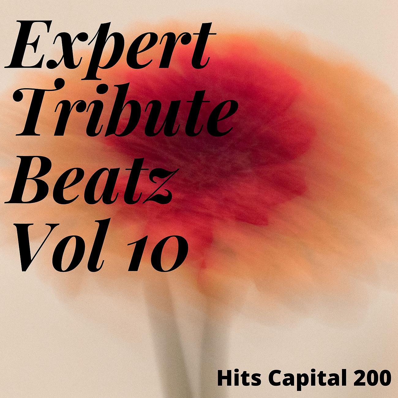 Постер альбома Expert Tribute Beatz Vol 10